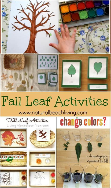 Awesome Fall Leaf Activities For Kids Crafts Science Art Fine Motor