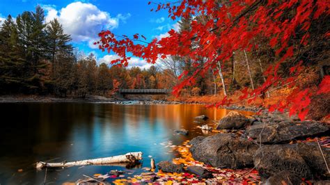 Wallpaper Landscape Forest Fall Lake Nature Reflection River