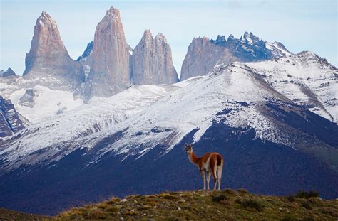 Torres del Paine National Park - Reserva Las Torres