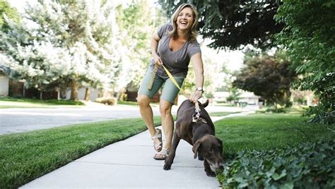 Direct fast access to spnb.com.my. Dear Labby: How Much Should I Let My Dog Sniff On Our ...