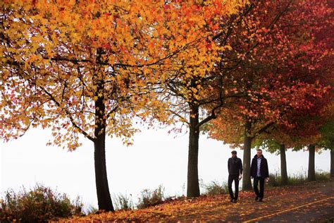 15 Seattle Parks And Trails To See Brilliant Fall Colors