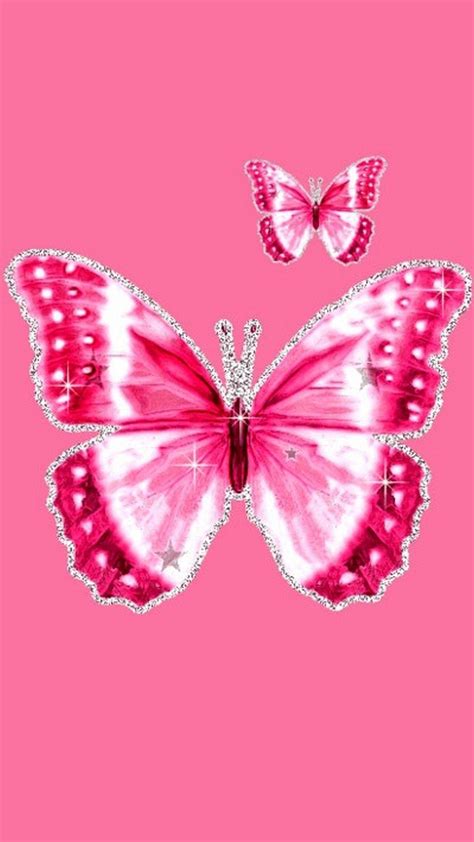 Cute Pink Butterfly Wallpapers Top Free Cute Pink Butterfly