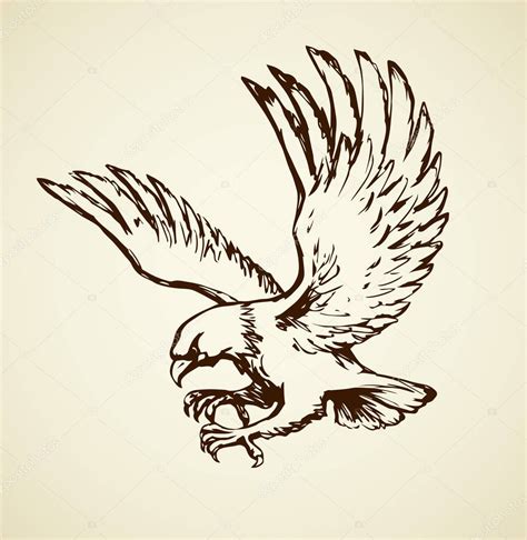 Águila Dibujo Vectorial 2023