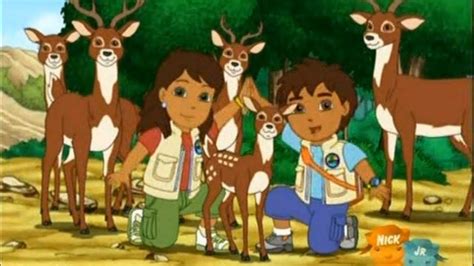 Go Diego Go 3x11 Alicia And Whitetail To The Rescue Best Moment