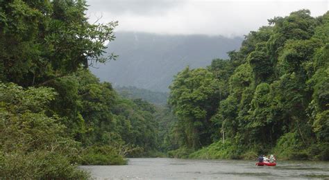 The Nature Conservancy En Honduras