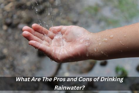 What Are The Pros And Cons Of Drinking Rainwater Blogs