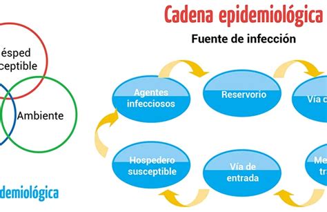 Enfermedades Elementos De La Cadena Epidemiologica Escolar Abc Color Images