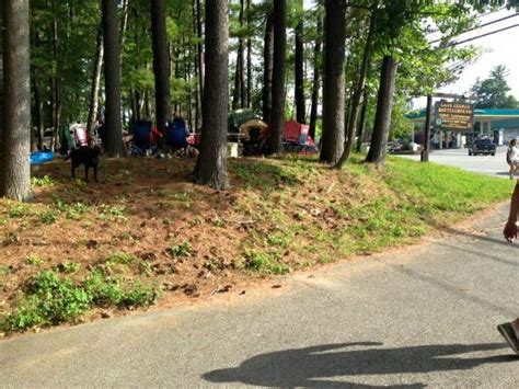 Many also include glamping extras like kitchenettes. If you want access to an all night convenience store while ...