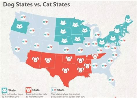 Us Cat And Dog States Map Wondering Maps