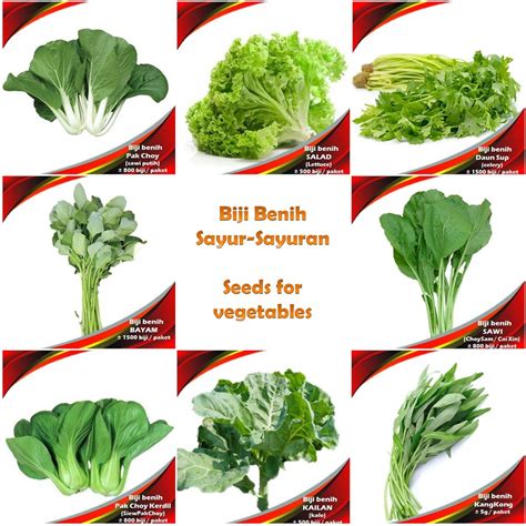 Biji Benih Sayur Sayuran Vegetables Seeds Kangkong Bayam Sawi Salad