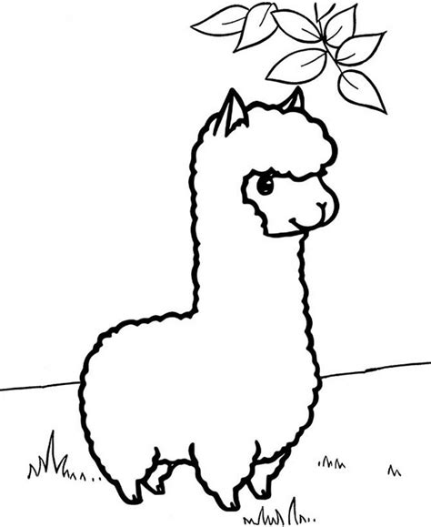 Https://techalive.net/coloring Page/alpaca Coloring Pages For Kids