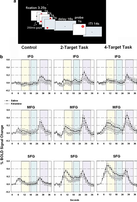 Spatial Working Memory Wm Task 4 Target Version B Regions Of