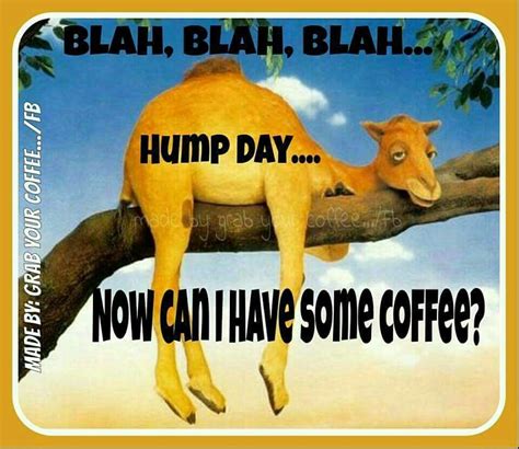 Blah Blah Blah Hump Day Can I Have Coffee Pictures Photos And Images