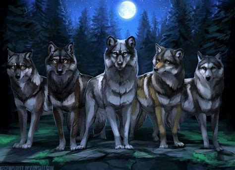 Wolf Pack Wolf Spirit Animal Fantasy Wolf Anime Wolf Drawing