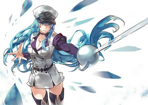 Esdeath Fond Décran And Arrière Plan 1440x1018 Id654339