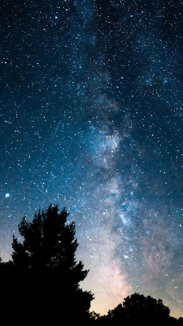 Wallpaper Forest Milky Way Stary Sky