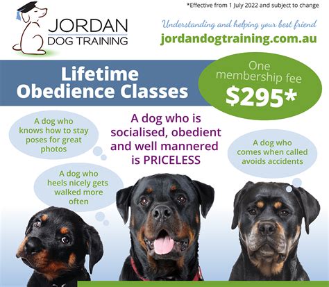 Obedience Training Classes Jordan Dog Training