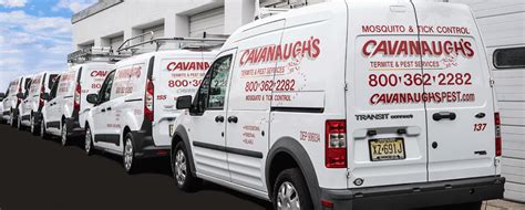 & we'll be to your home promptly for rochester stink bug control & rochester stink bug extermination service. Pest Control Middletown NJ - Cavanaughs Pest