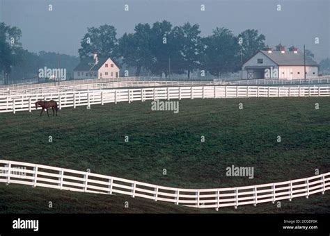 Calumet Thoroughbred Horse Farm Blue Grass Country Lexington