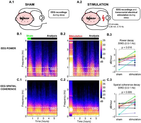 Transcranial electrical stimulation affects power and ...