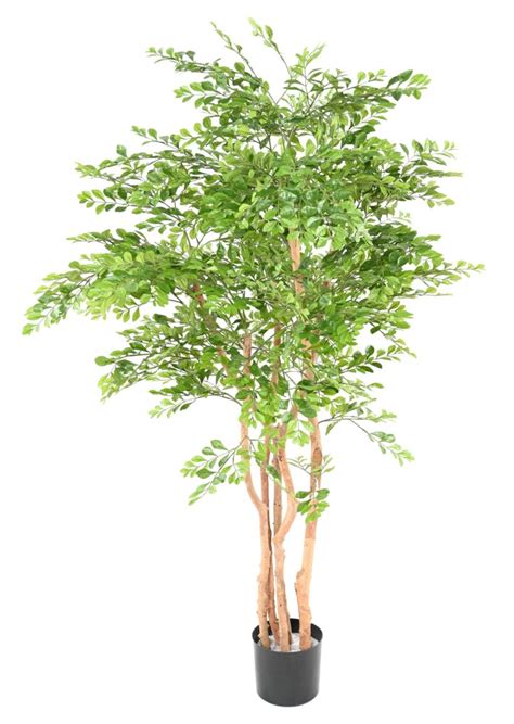 Bienvenue dans votre jardin… d'intérieur ! Arbre artificiel Acacia 5 troncs - plante d'intérieur - H ...