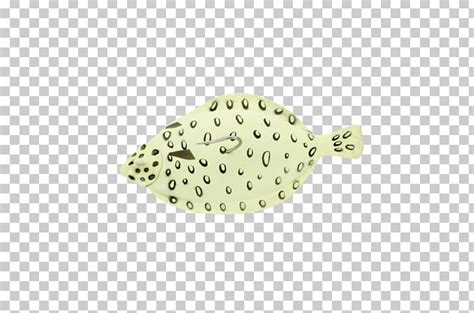 Fishing Baits And Lures European Flounder Halibut Png Clipart Atlantic