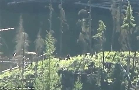 Hiking Couple Claim New Footage Shows Bigfoot Out For A Walk In The