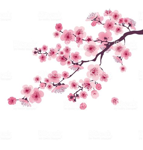Pastel Color Cherry Blossom Vector Illustration Japan Sakura Branch 벡터 일러스트레이션 벡터 아트 꽃