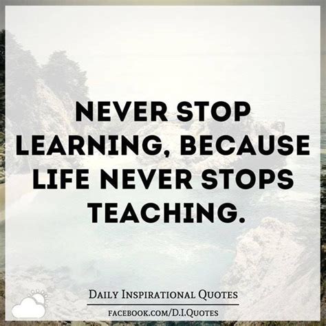 Never Stop Learning Because Life Never Stops Teaching Never Stop