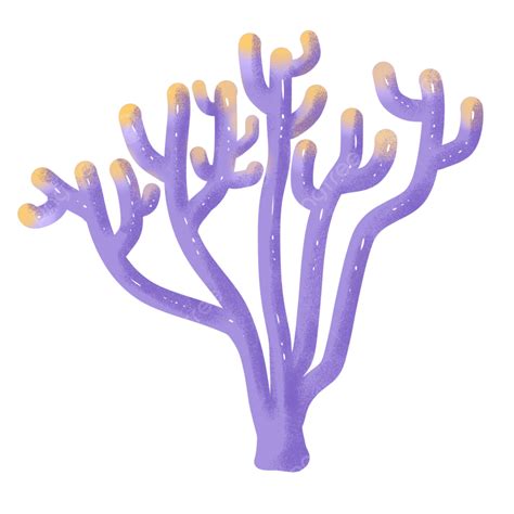Corals Png Vector Psd And Clipart With Transparent Background For