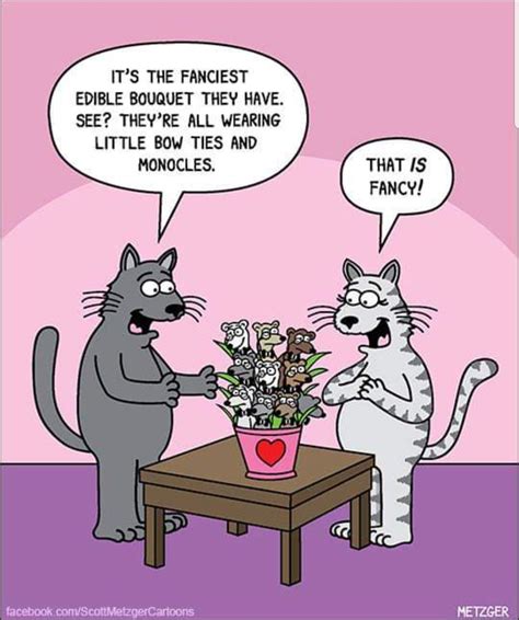 Cat Cartoon Jokes Freeloljokes