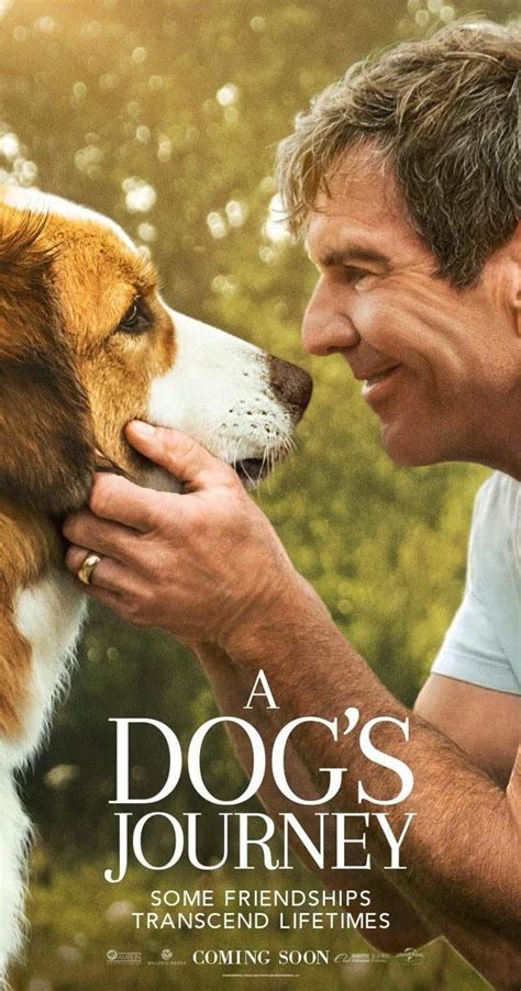 A dog's journey, which is a film from both amblin entertainment and reliance entertainment, is distributed domestically by universal pictures. A Dog's Journey (2019) - Full Cast & Crew - IMDb