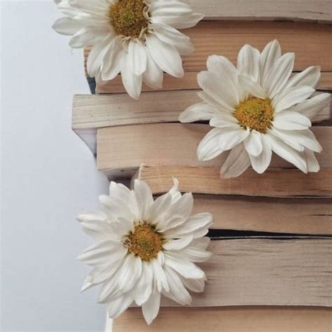 Imagem De Book Flowers And Daisy Flower Aesthetic Hufflepuff