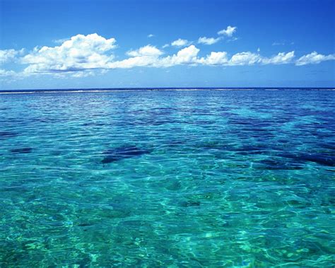 Tahiti Crystal Clear Sea Water Wallpaper 1280x1024 Download