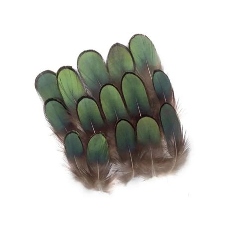 xuezhiyu 100pcs green color pheasant feathers fringe plumages for diy craft pheasant feathers