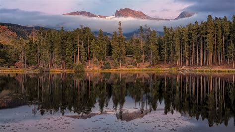 Reflection Of Pine Trees On Lake And Mountain With Clouds 4k Hd Nature
