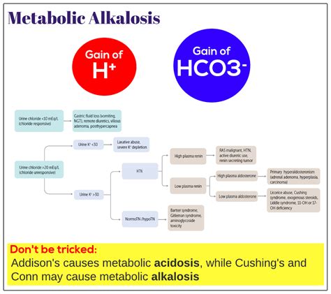 Metabolic Alkalosis Medicine Keys For Mrcps