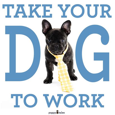 Перевод песни take me to church — рейтинг: Dogged Ambition: Why Take Your Dog to Work? | Puppy Tales