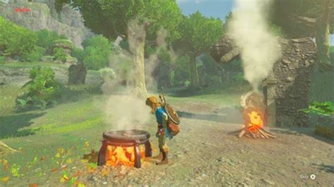 When you cut a tree down you'll be met with a tree trunk that you can chop up into a pile of wood. How to Start Fire in Zelda: Breath of the Wild | SegmentNext