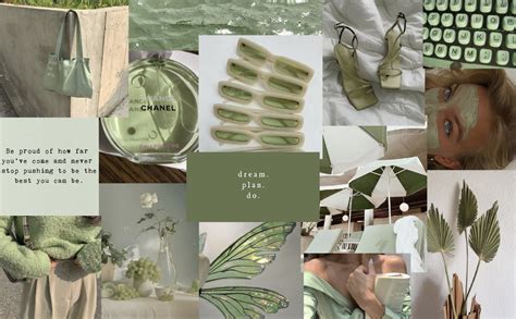Aesthetic Collage Sage Green Wallpaper 4k Wallpapers Tinydecozone
