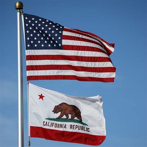 5 Fun Facts About Californias State Flag Star Spangled Flags