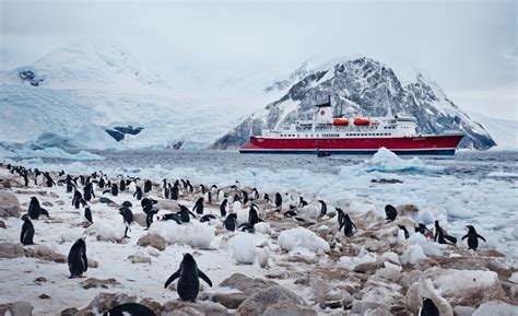 G Adventures Reveals 2022 Arctic And Norway Cruises
