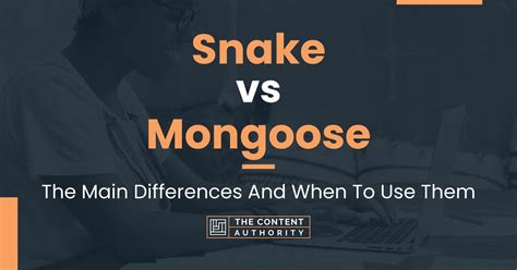Snake Vs Mongoose The Main Differences And When To Use Them