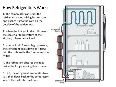 Simple Refrigerator Wiring Diagram