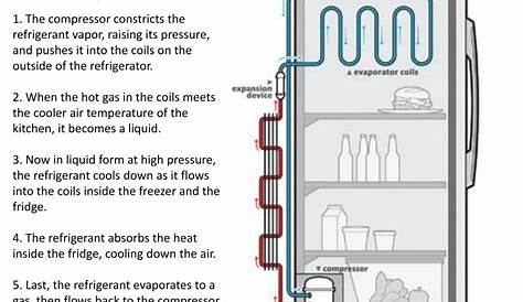 PPT - How Refrigerators Work: PowerPoint Presentation, free download