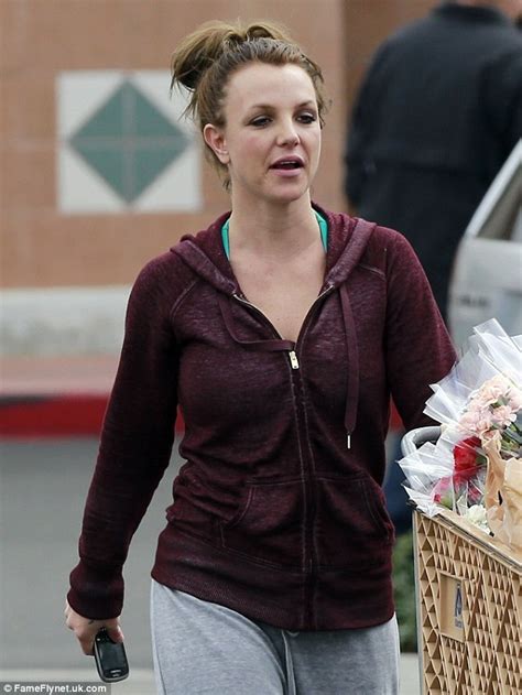 Britney Spears Stocks Up On Groceries And Her Bodyguard Is Left