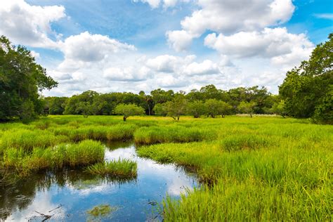 Ecobot Acquires Wetland Delineation Platform WetForm | Civil ...