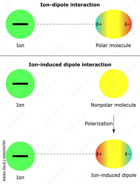 Vecteur Stock Intermolecular Forces Ion Dipole Interaction Ion Induced