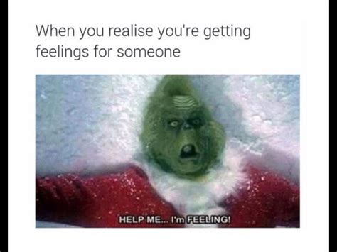 See more ideas about mood quotes, feelings quotes, catching feelings meme. The grinch -help me.... I'm FEELING | Hilarische memes ...