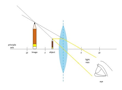 40 Ray Diagram Of Converging Lens Wiring Diagram Images